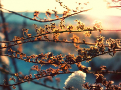 В четверг в Ставрополе будет тепло, но ветрено