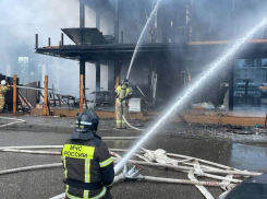 Пожар на привокзальной площади около аэропорта Минеральных Вод ликвидирован