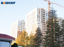 В Ставрополе зафиксирована рекордная температура на Рождество за последние пять лет