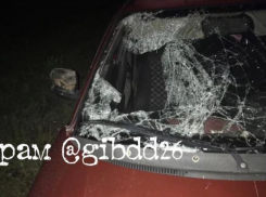 В Грачевском округе водитель ночью не заметил 15-летнего пешехода и сбил его