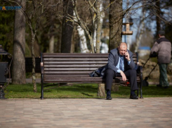 Ставропольский край занял 15 место в рейтинге регионов по динамике рынка труда