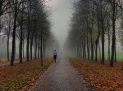 Пасмурное небо и туман ждут ставропольчан в последний рабочий день недели 