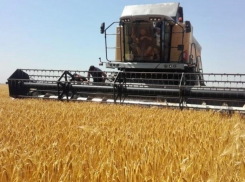 Яровой сев, семена и удобрения: о сельхоз трудностях на Ставрополье рассказал министр Сергей Измалков 