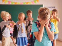 Сотрудники краевого минобра проверят школу в селе Добровольном после публикации «Блокнота» 