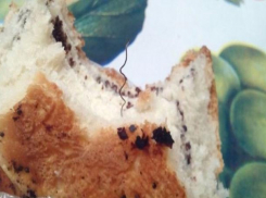 «Начинку» из железной проволоки обнаружили в булочке жители Ставрополя