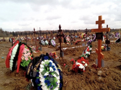 Пока минздрав Ставрополья рапортует о снижении смертности в регионе, она растет невиданными темпами