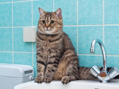 Сотни жителей Ставрополя останутся без воды 20 ноября 