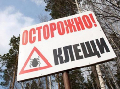 На Ставрополье начинается эпидсезон Крымской геморрагической лихорадки