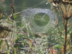 В Ставрополе четверг будет солнечным и теплым