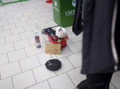 Белоснежная утка просила милостыню в ставропольском магазине 