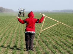 Запрет на приватизацию государственных земель на Ставрополье одобрил Верховный суд 