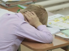 Избившего плетью кадета педагога уволили в Ставрополе