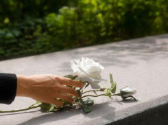 Смерть за 126 миллионов рублей: крематорий появится в Невинномысске