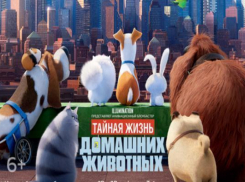 За тайной жизнью домашних животных можно подсмотреть в Синема Парк Ставрополя