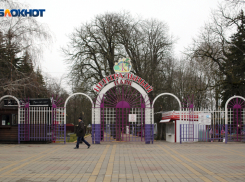 Весенние дожди и теплая погода порадуют Ставрополь на предстоящей неделе