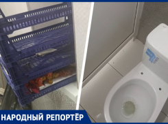 Жителей Ессентуков возмутила лежащая в общественном туалете чурчхела