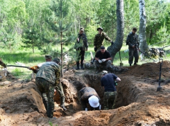  В Брянской области найдены останки солдата со Ставрополья
