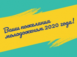 Жители Ставрополя смогут поздравить молодоженов в новогоднюю ночь 