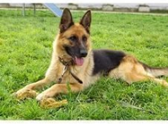 Джек не пропустил в ставропольскую колонию наркотики