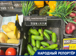«Элитные» огурцы и зарубежные томаты: цены на прилавках вновь вгоняют ставропольцев в ужас