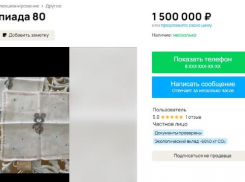 По цене квартиры в Ставрополе продают два новых платка с олимпийским Мишкой 1980 года 