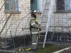 Девочка вскарабкалась на дерево и не смогла оттуда слезть
