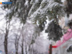 Морось, туман и гололед посетят Ставрополье 20 декабря