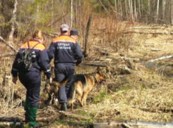 Исчезновение 11-летней девочки всполошило Пятигорск