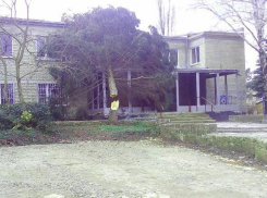 Штормовой ветер разломал толстый ствол взрослого дерева и повалил его на здание близ Ставрополя