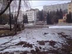 Вырубку деревьев у кинотеатра «Россия» в Кисловодске засняли на видео