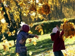 Свыше 20 градусов тепла порадуют ставропольчан в последний день рабочей недели