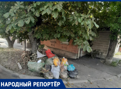 «Вам мусор мешает — вы и уберите»: свалка на Шпаковской в Ставрополе «достала» людей