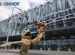 Цены на авиабилеты из Минеральных Вод подорожают к Новому году: стоимость перелетов на 1 и 12 января