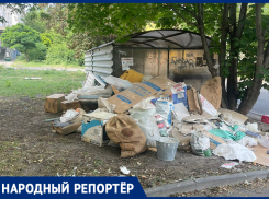 «Вокруг просто ужас»: жительница Ставрополя шокирована огромной кучей мусора рядом с баками