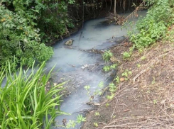 Ставропольская река Татарка превратилась в канализацию из-за отходов