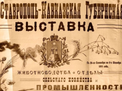 Календарь: 108 лет назад в Ставрополе открылась первая выставка животноводства
