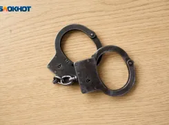 Ставрополец убил прохожего за разговор по телефону в Домодедово и попал в колонию особого режима