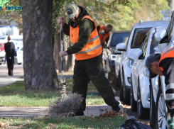 Более 40% ставропольцев не хотят ходить на субботники из-под палки начальника