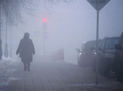 Сыро и туманно будет на Ставрополье