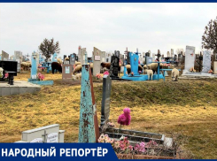 Овцы облюбовали сельское кладбище на Ставрополье