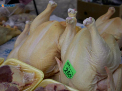 Сальмонеллу нашли надзорники в продукции многострадального «Ставропольского бройлера»