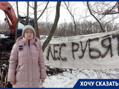 Жители Ставрополя обратились к правоохранителям из-за вырубки урочища «Мутнянка» 