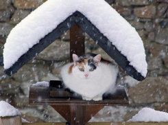 Шквалистый ветер и метель ожидаются субботним вечером в Ставрополе