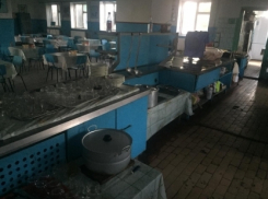 На Ставрополье произошло массовое отравление работников одного из предприятий