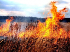 На Ставрополье вновь загорелись поля