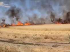 Крупный пожар в Грачевском округе угрожает жилым домам