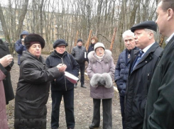 Судьба Таманского леса должна решиться в ближайшее время