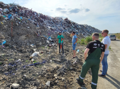 Суд обязал ставропольского производителя убрать гигантскую свалку в Предгорье 