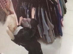 Прилично одетая женщина обворовала магазин и попала на видео в Ставрополе