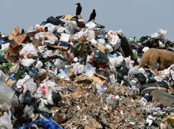 Звание «мусорной столицы» Ставрополья  получило село Донское